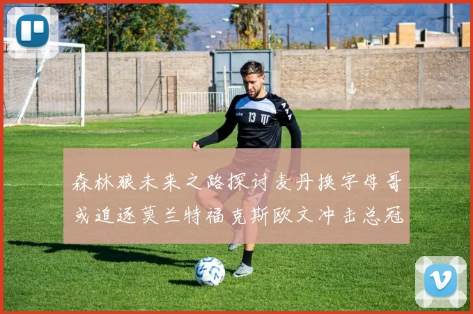森林狼未来之路探讨麦丹换字母哥或追逐莫兰特福克斯欧文冲击总冠军