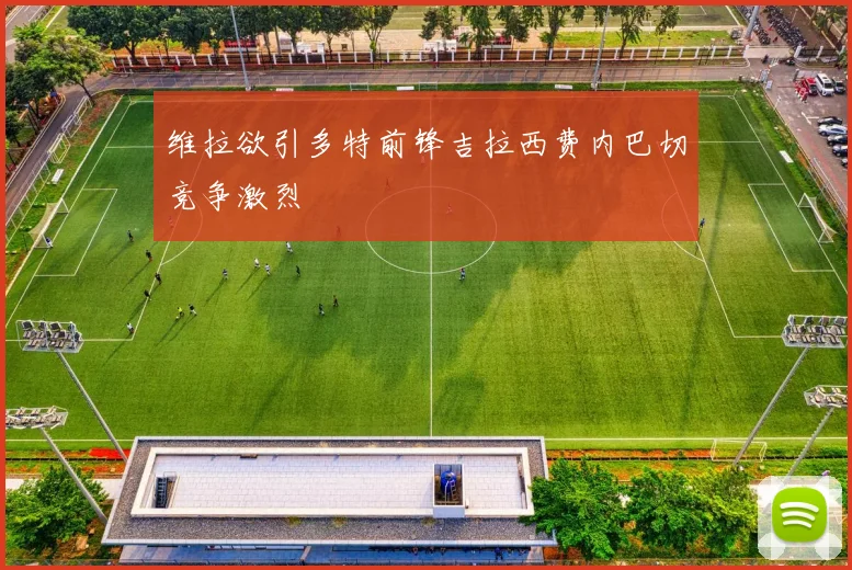 维拉欲引多特前锋吉拉西费内巴切竞争激烈